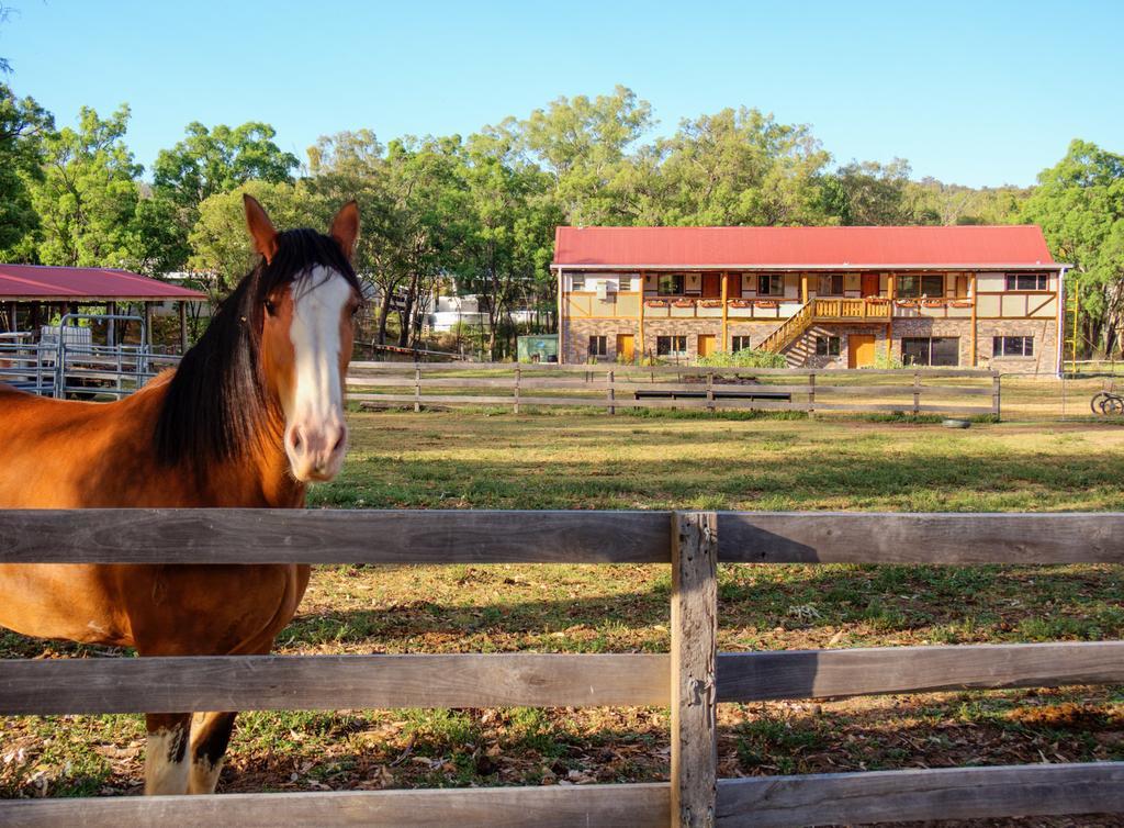Pilliga Pottery Creative Farmstay Coonabarabran Pokój zdjęcie